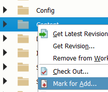 P4V Workspace View, Relevant folders to submit